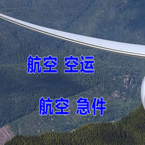 伊尔施航空托运快递-选东方航空和上海航空