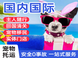 伊尔施航空托运国际宠物托运 【国