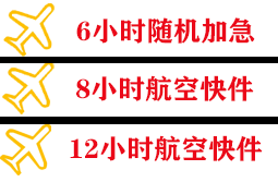 伊尔施航空托运快递公司,专业空运当天件